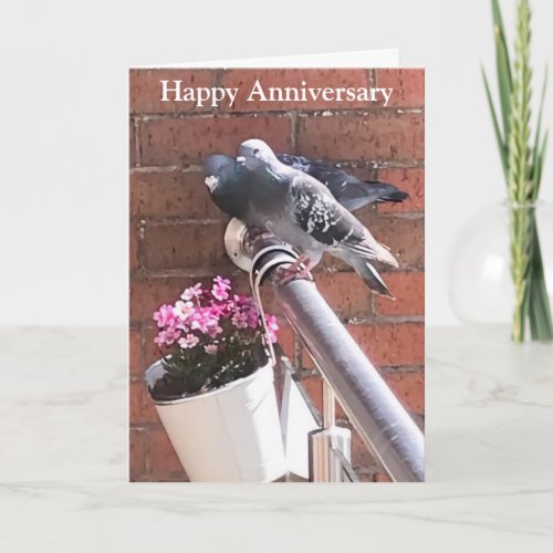 Pigeon pair and Flowers editable anniversary  Card