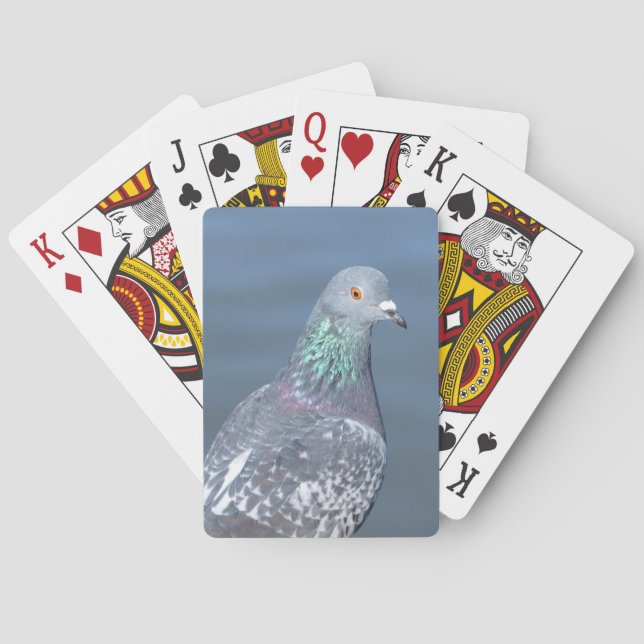 Pigeon Partner Poker Cards (Back)