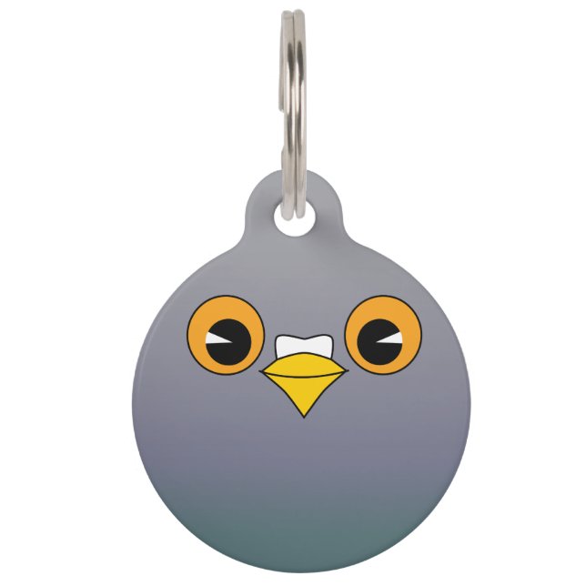 Pigeon pet ID tag (Front)