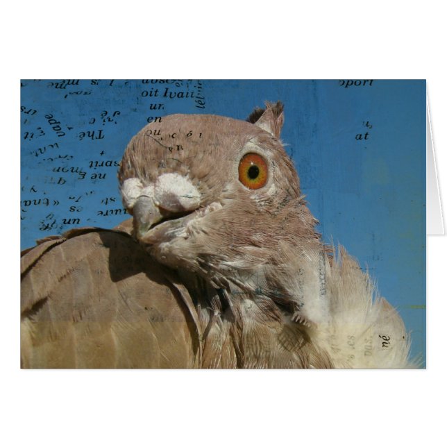 Pigeon Poetry Cards (Front Horizontal)