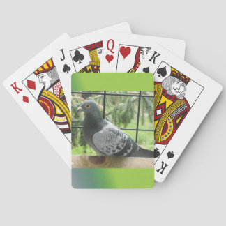 Pigeon Poker Cards