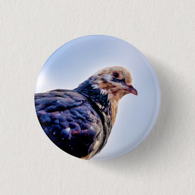 Pigeon Portrait Button (Front)