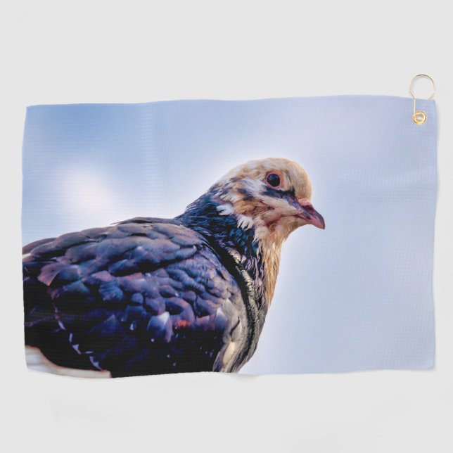 Pigeon Portrait Golf Towel (Horizontal)