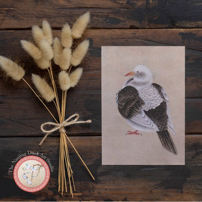 Pigeon Postcard (Creator Uploaded)