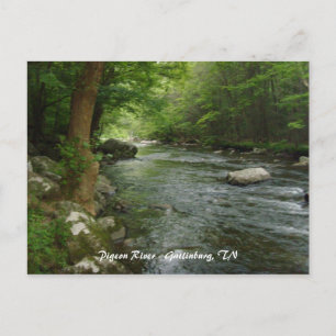 Pigeon River - Gatlinburg, TN Postcard