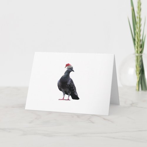 Pigeon Santa Hat Holiday Card