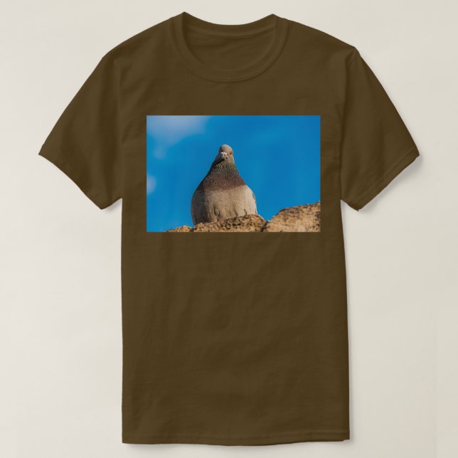 Pigeon sitting on a stone wall T-Shirt (Design Front)