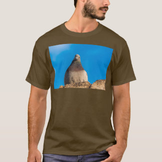 Pigeon sitting on a stone wall T-Shirt