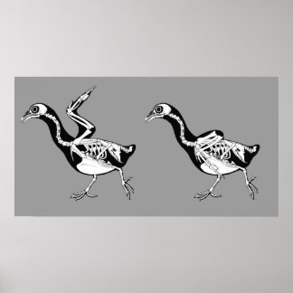 Pigeon Skeletals Print