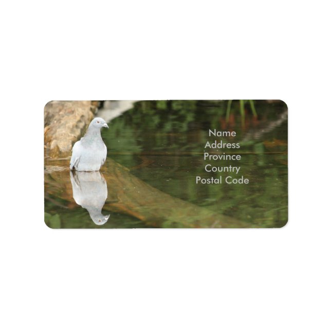 Pigeon Snail Mail Label (Front)