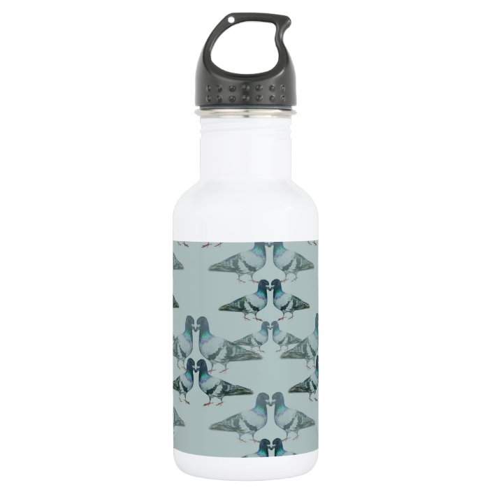 pigeon water bottle steel