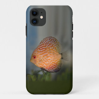 Pigeon Stone Discus iPhone 5 Case-Mate Case