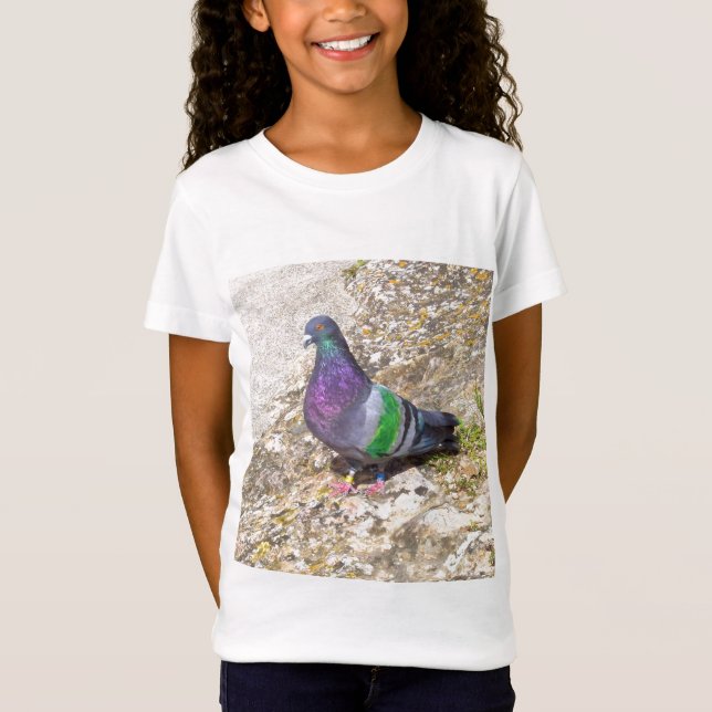 Pigeon. T-Shirt (Front)