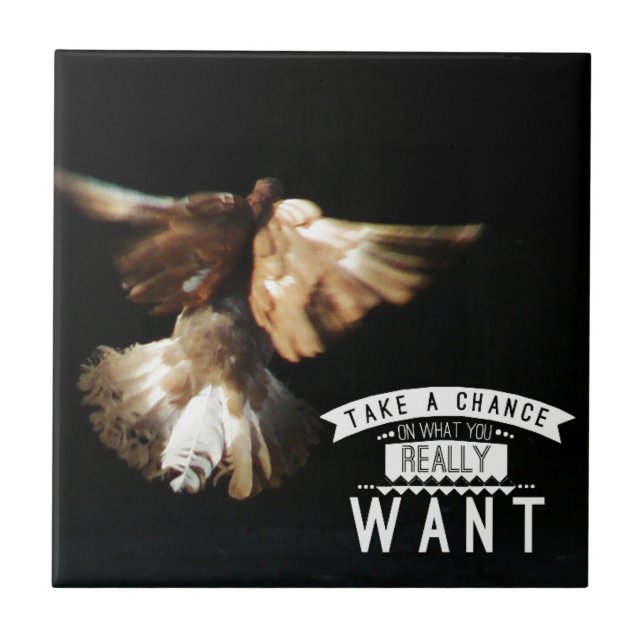 Pigeon Take A Chance Ceramic Tile (Front)