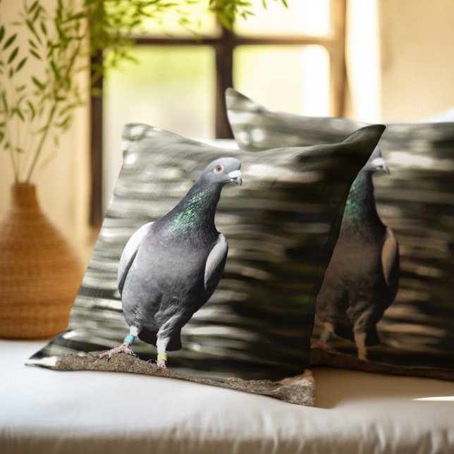 Pigeon Throw Pillow (Creator Uploaded)