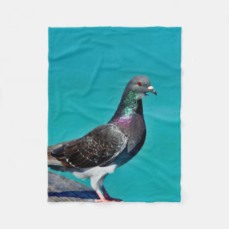 Pigeon With A View Fleece Blanket