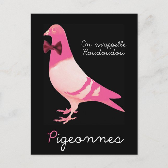 Pigeonnes - On m'appelle Roudoudou Postcard (Front)