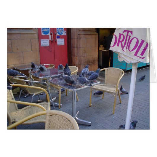 Pigeons at Lunch Cards (Front Horizontal)