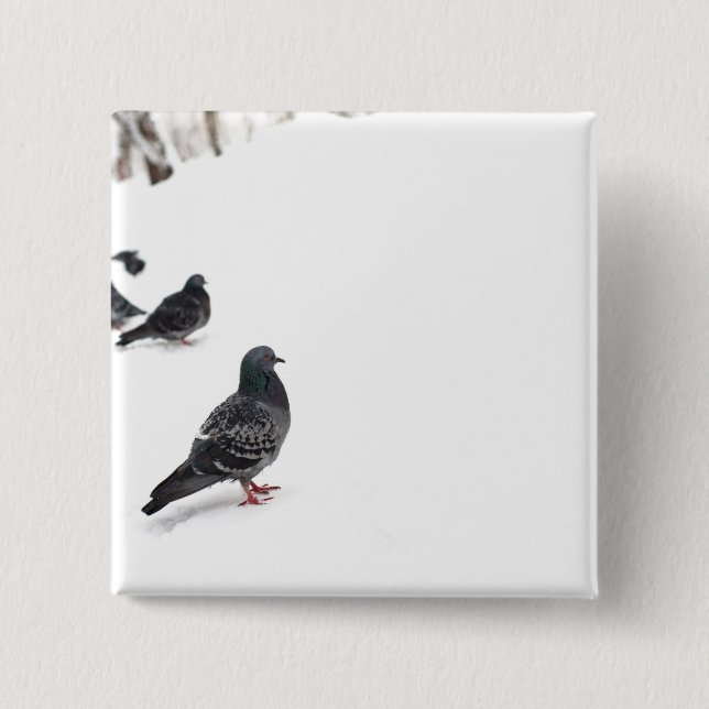 Pigeons Button (Front)