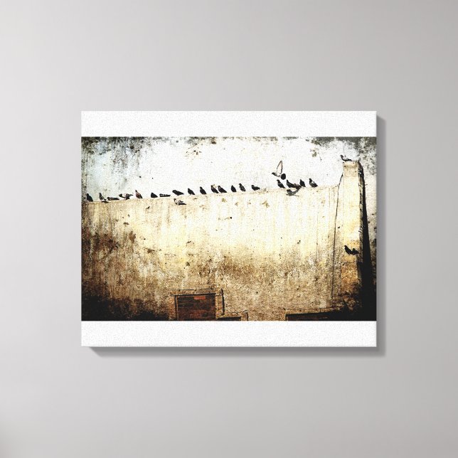 Pigeons Canvas Print (Front)