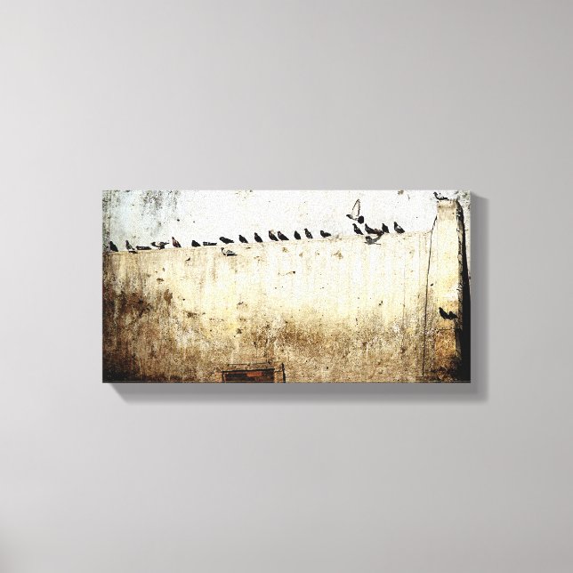 Pigeons Canvas Print (Front)