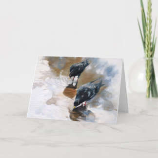 Pigeons Card