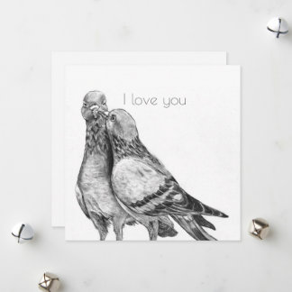 Pigeon's embrace Postcard