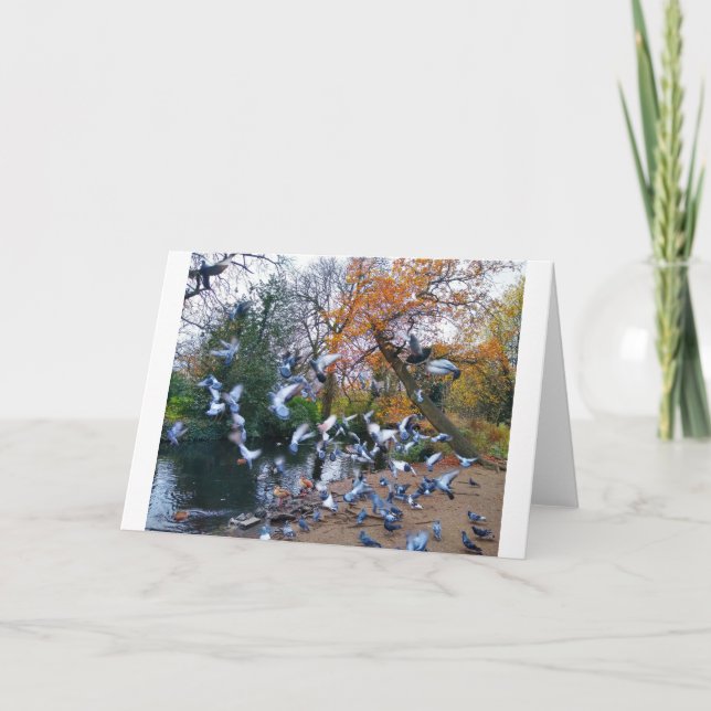 Pigeons, Lloyd Park, Walthamstow, London Card (Front)