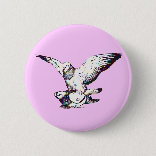 Pigeons Mating Pinback Button (Front)