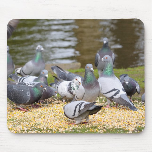 pigeons mouse pad (Front)