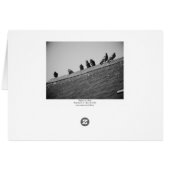 Pigeons on a Roof (Back Horizontal)