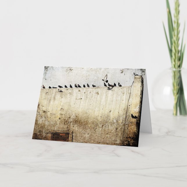 Pigeons on a Roof, Birthday Card (Front)