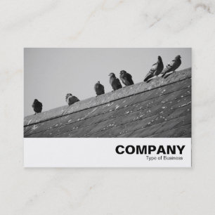 Pigeons on a Roof Business Card