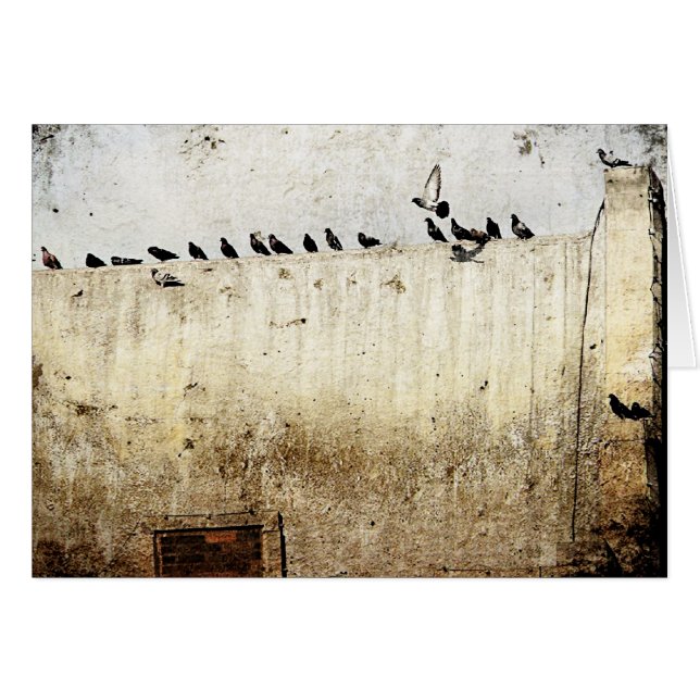 Pigeons on a Roof Cards (Front Horizontal)