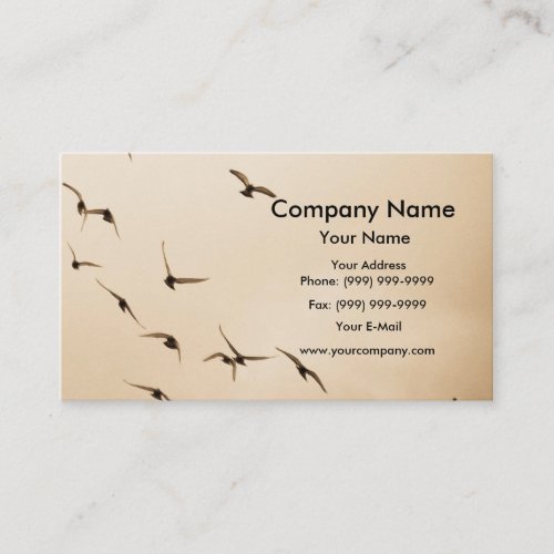 Pigeons on the sky business card