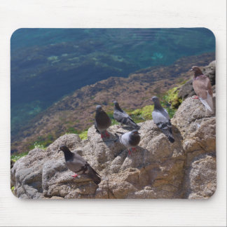 Pigeons sunbathing mouse pad