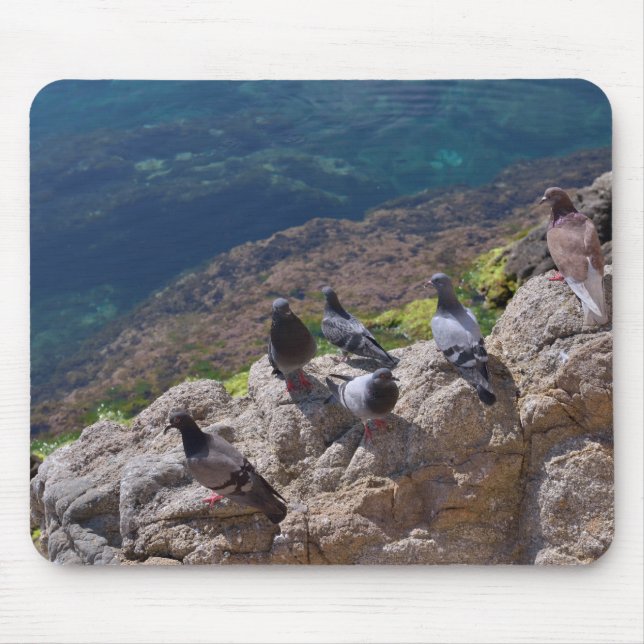 Pigeons sunbathing mouse pad (Front)
