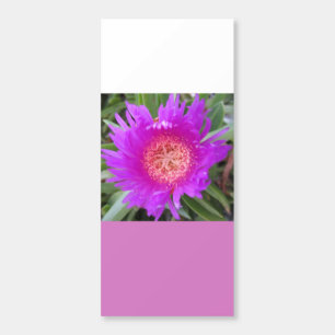 Pigface Hershey's Miniatures