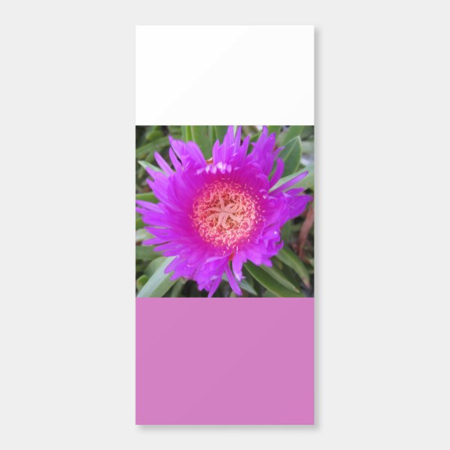 Pigface Hershey's Miniatures (Sticker)