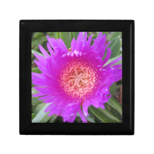 Pigface Wooden Jewelry Keepsake Box