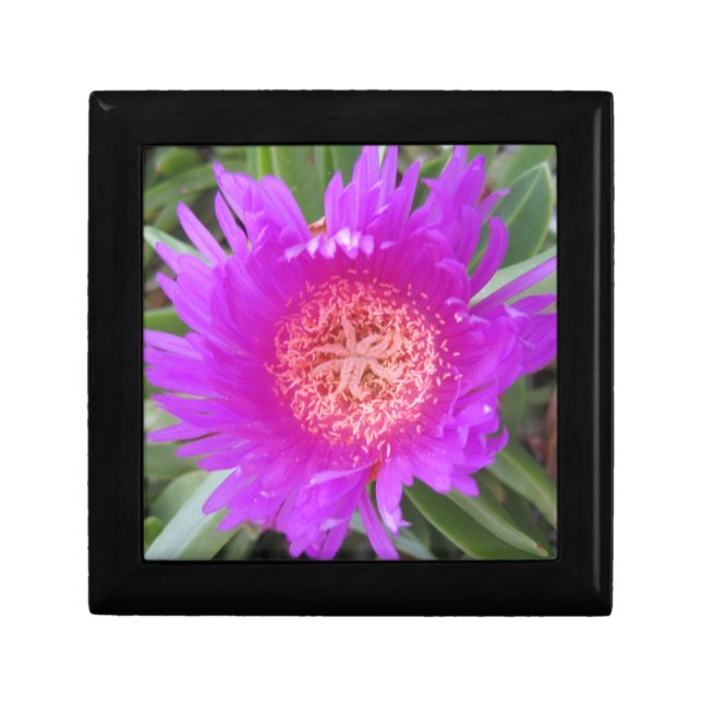 Pigface Wooden Jewelry Keepsake Box (Front)