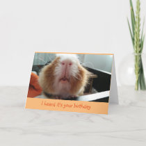 Piggie kisses and curly whiskers birthday card