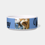 Piggies Bowl<br><div class="desc">guinea pig</div>