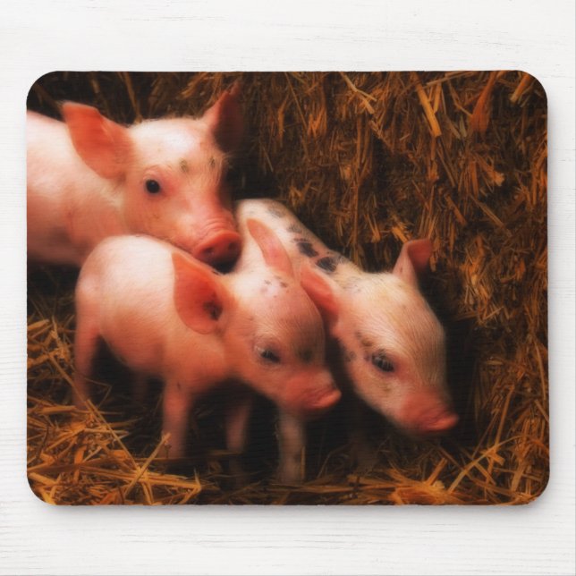 PIggies Mouse Pad (Front)