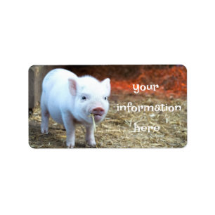 Piggin' Out Farm Life Return Address Labels