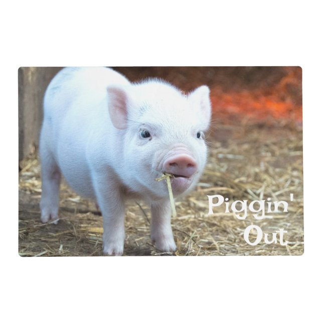 Piggin' Out/Rooster Vibes Farm Life Laminated Placemat (Front)