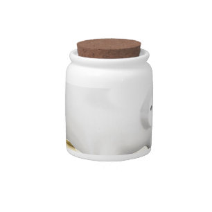 Piggy bank and coins candy jar
