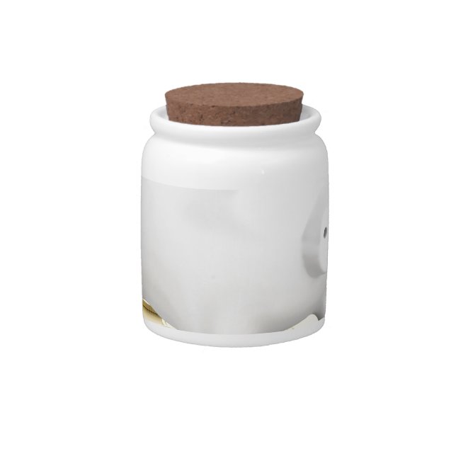 Piggy bank and coins candy jar (Front)