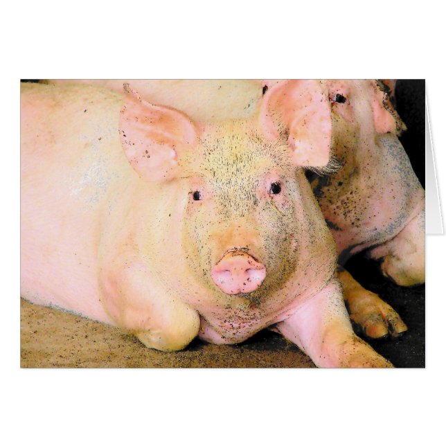 Piggy Cards (Front Horizontal)