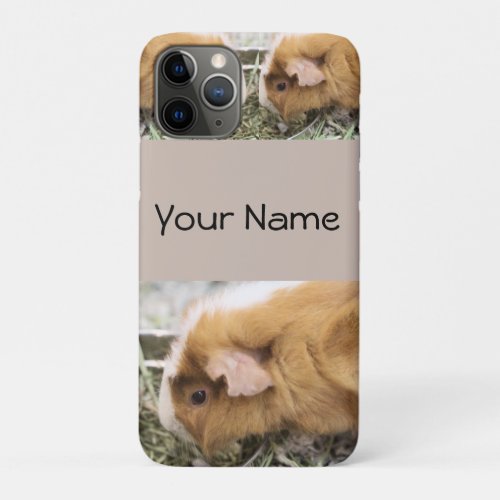 Piggy   iPhone 11 pro case